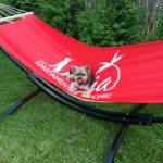 Maja – Apartamenty i domki